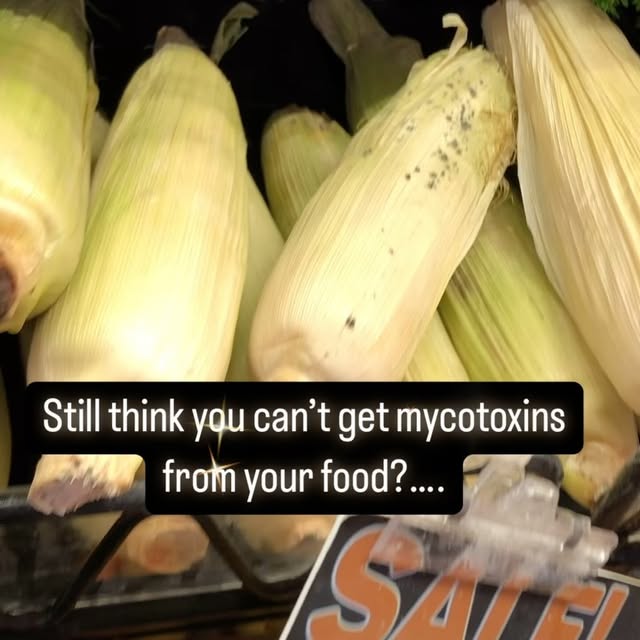 Post by wholehomeandbodyhealth