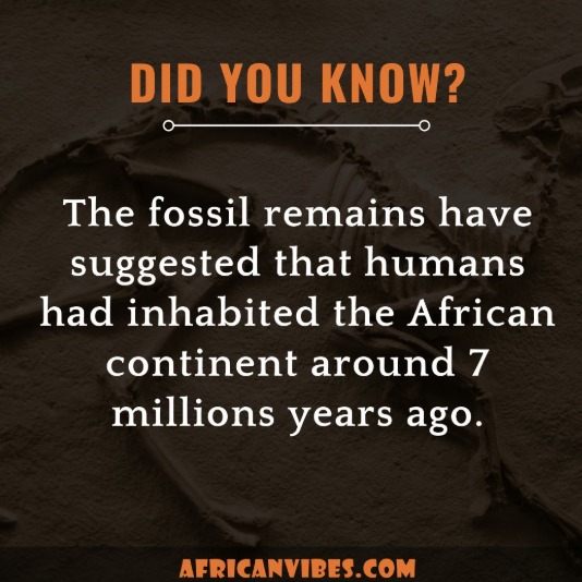 Post by africanvibes