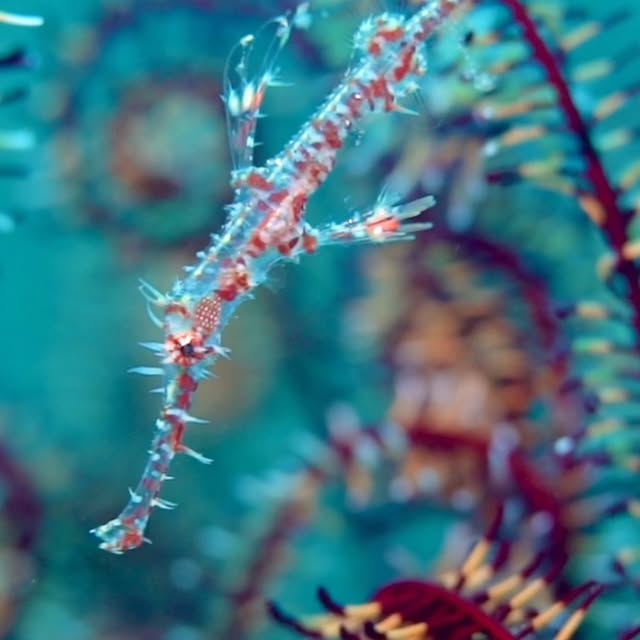 Post by floodedcamera