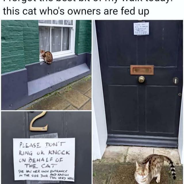 Post by furbabyfriend