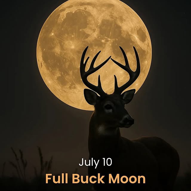 Post by the_secrets_of_the_universe