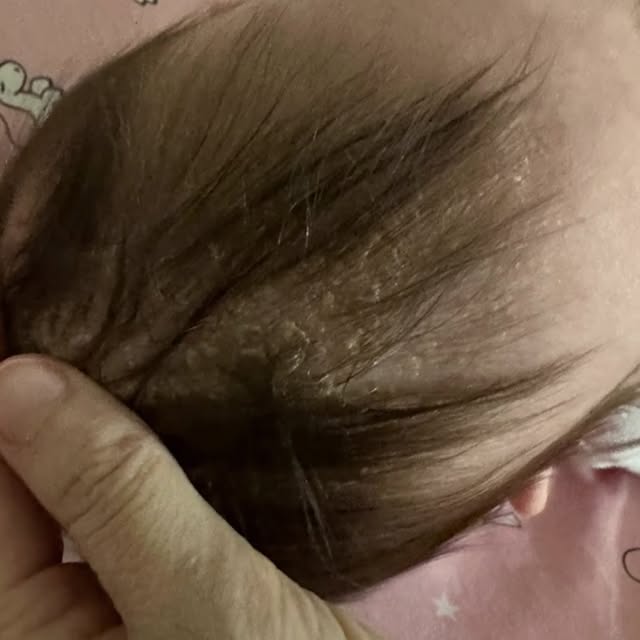 Post by roguepreparedness