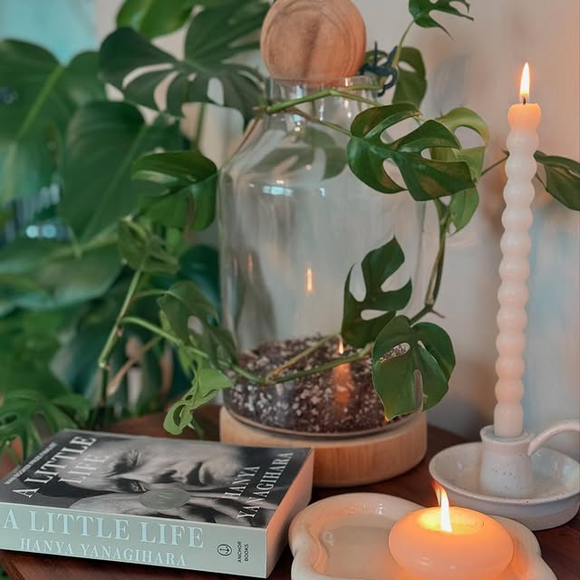 Post by kaydas_library