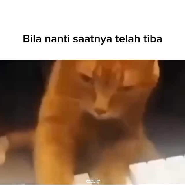 Post by humemesidcom