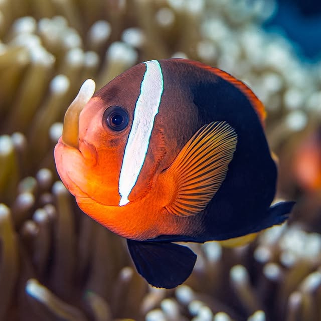 Post by alexmustard1