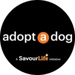 Adopt-A-Dog's profile picture