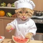 cat.memes.hub