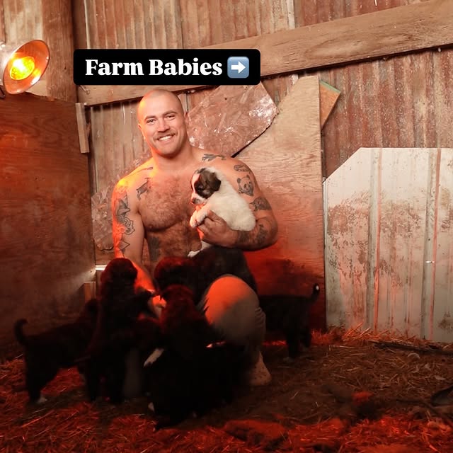 Post by thejackedrancher