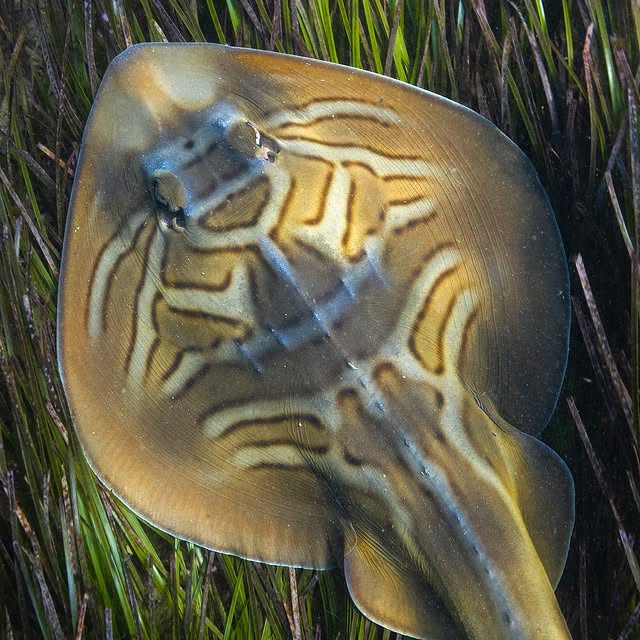 Post by hylton_in_nature