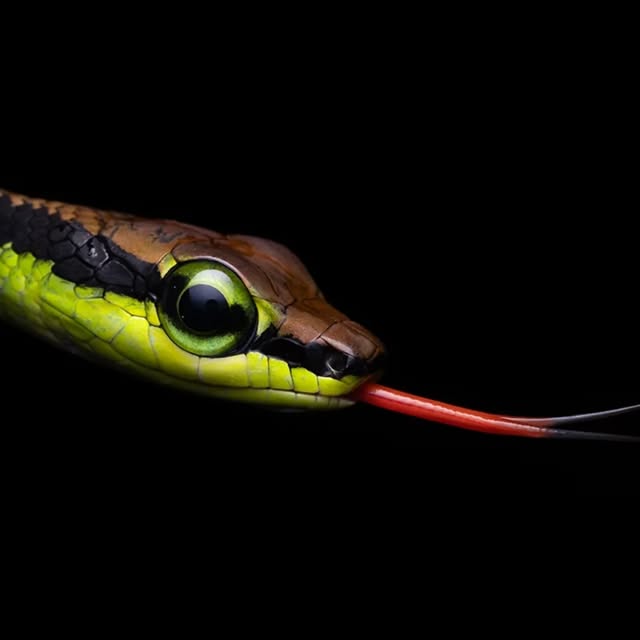 Post by huntingforparadise