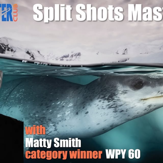 Post by mattysmithphoto