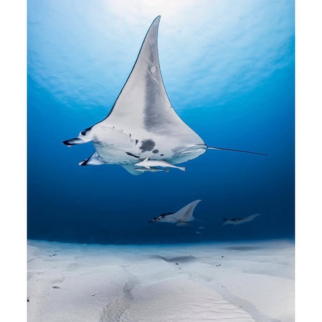 Post by akky_underwater