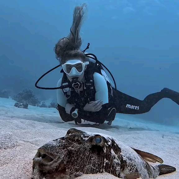 Post by scuba_diving_iglover