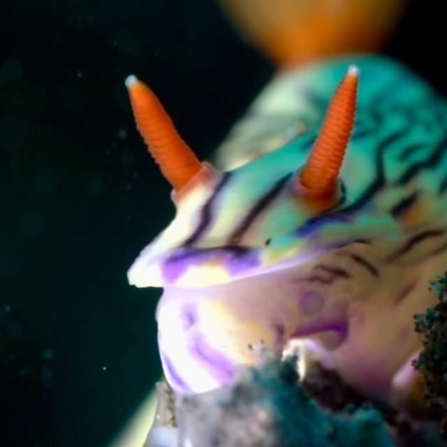 Post by floodedcamera