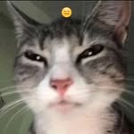 Trading Guruji's profile picture