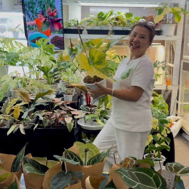 Post by mama.treehouse