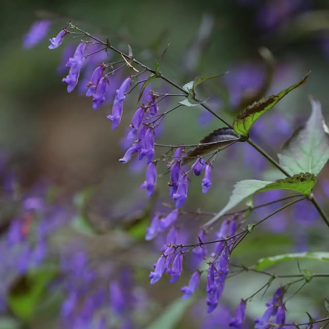 Post by basilikum_und_kaktus