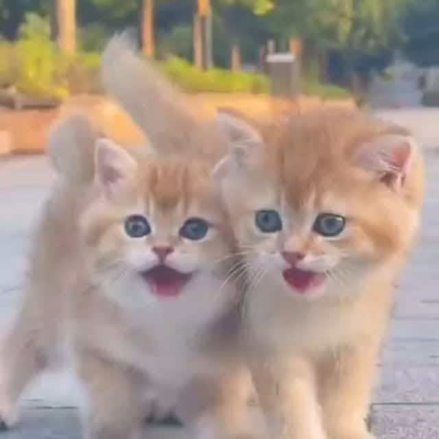 Post by sukiicatss