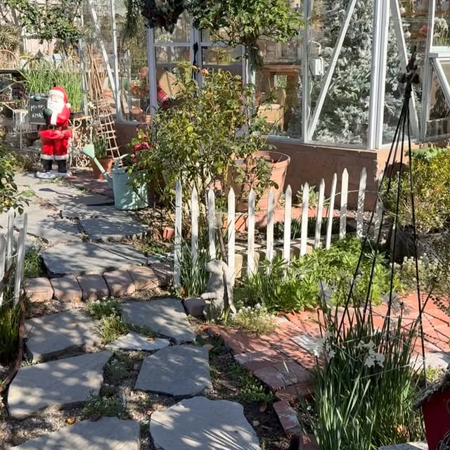 Post by rootedinthyme