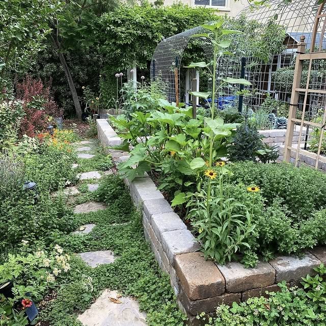 Post by natures_architects