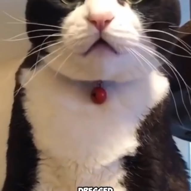 Post by crystalangelny