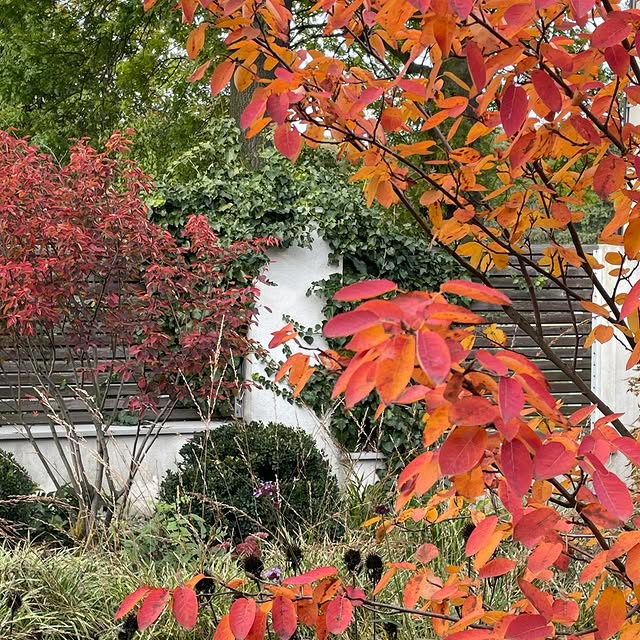 Post by gardenroom.kp