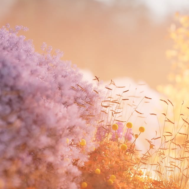 Post by virtuallyvisual