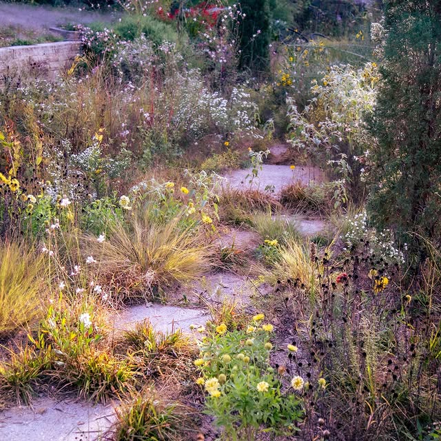 Post by kellydnorris