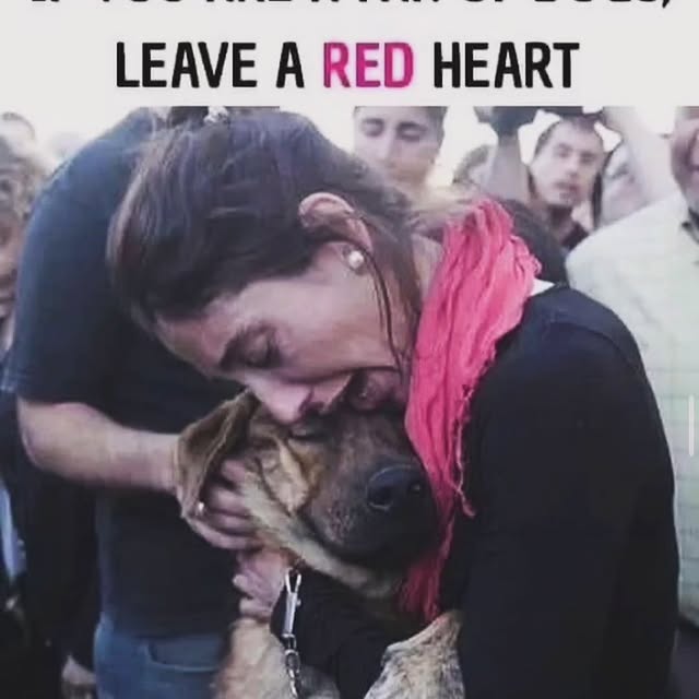 Post by braintrainingdogs_easy