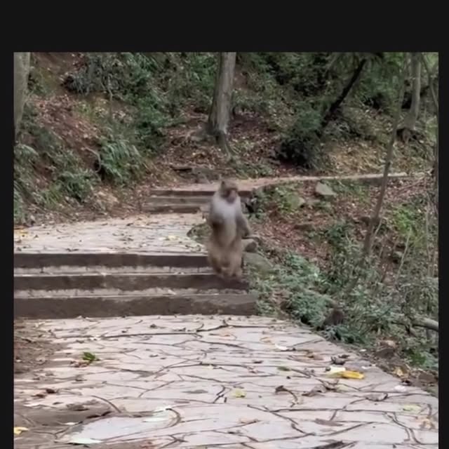 Post by boomingbulls_mumbai