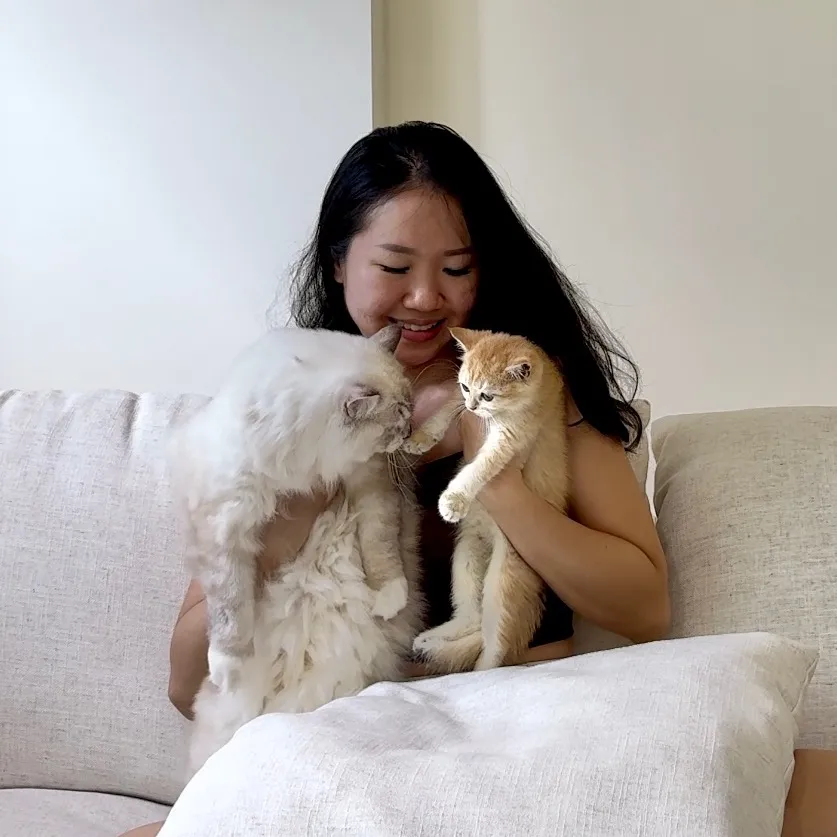 Coco 🍙's profile picture