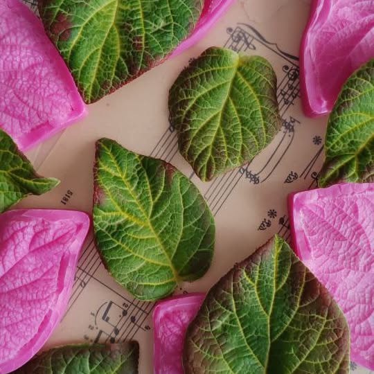 Post by bouquet_of_flowers_nm