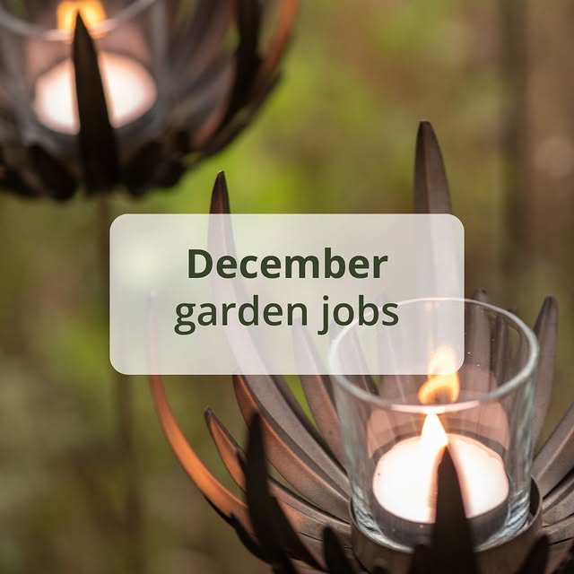 Post by crocus.co.uk