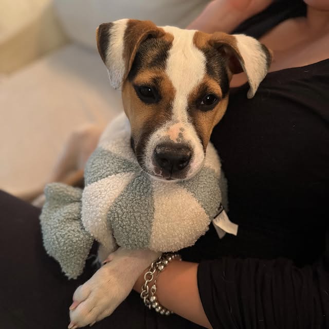 Post by wrapped_in_lace