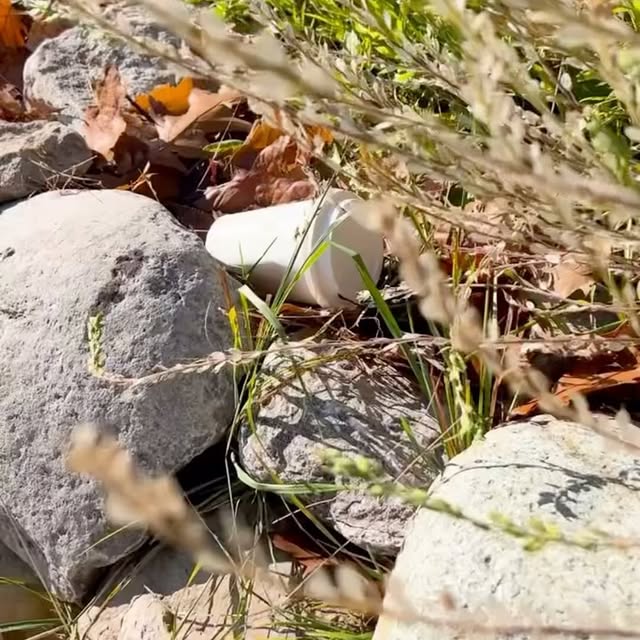 Post by gosiliproducts