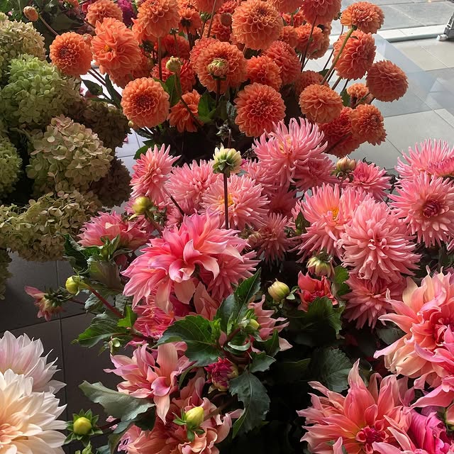 Post by serenada_dahlias