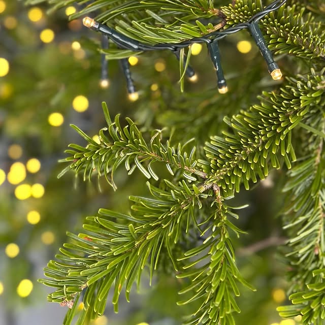 Post by srdce_z_jerabin