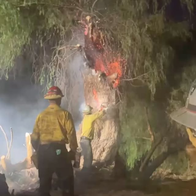 Post by contracostacountyfire