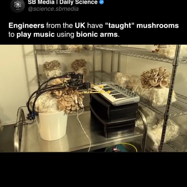 Post by science.sbmedia