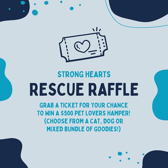 Post by strongheartsdogs