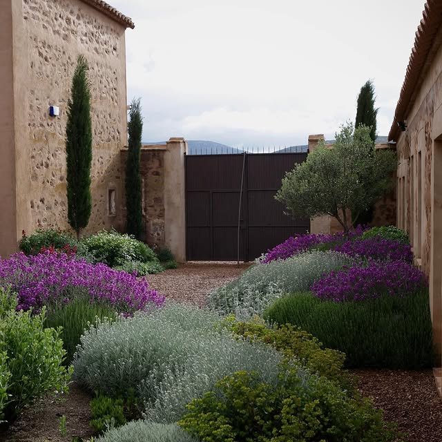 Post by edenrowegardens