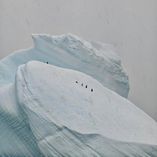 Post by mattysmithphoto