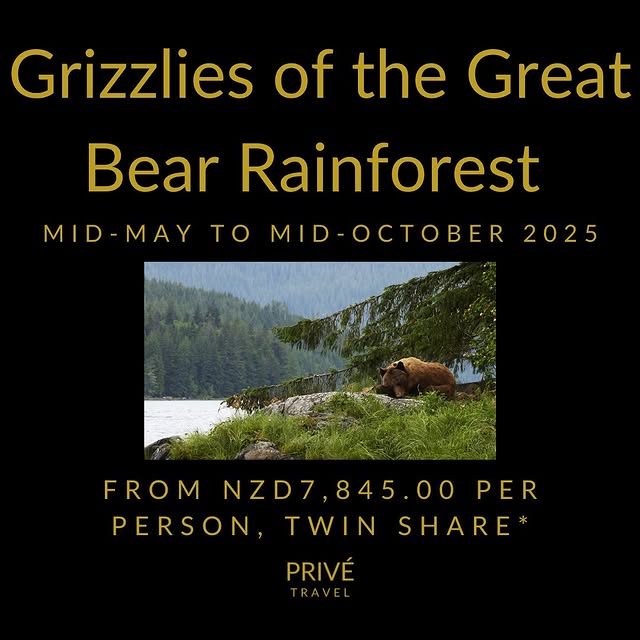 Post by privetravelnz