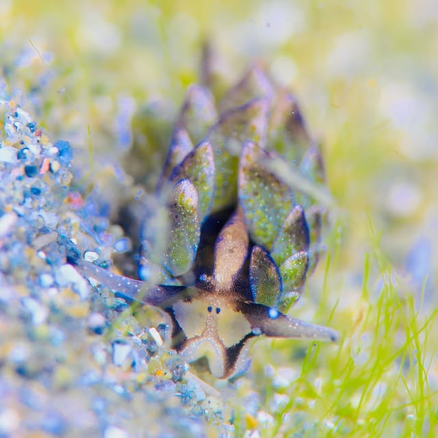 Post by chishimamurakami