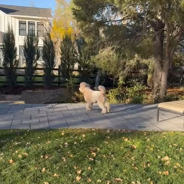 Post by urbanexteriorsllc