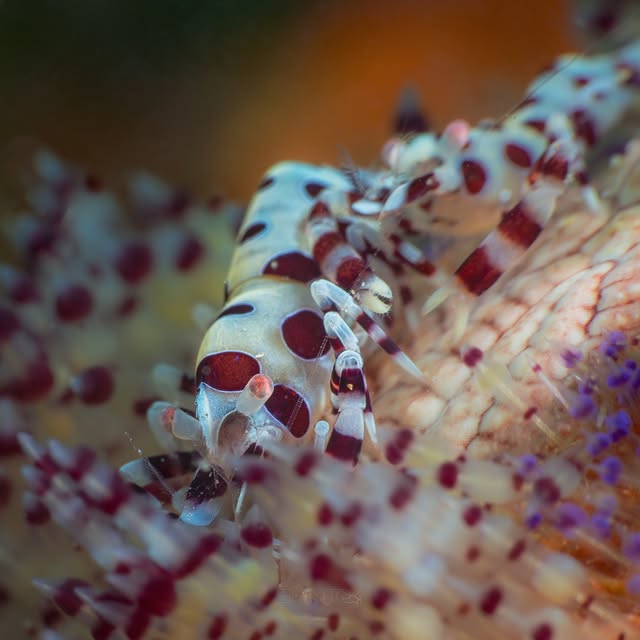 Post by floodedcamera