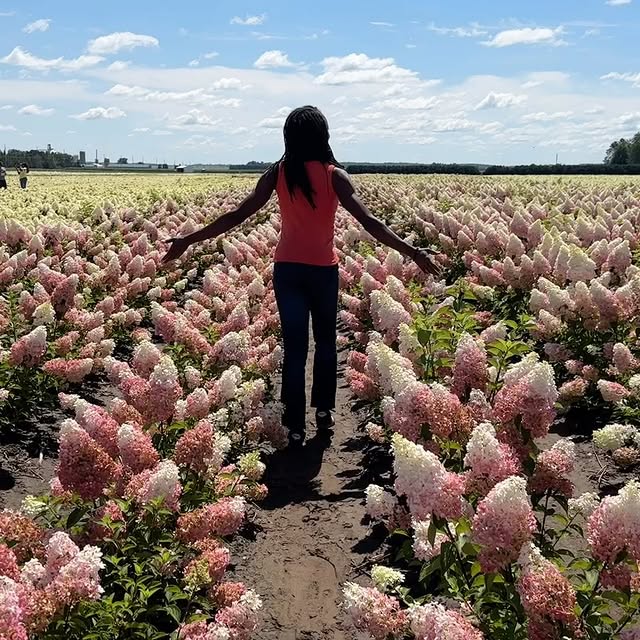 Post by jaysgardenjournal