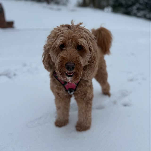 Post by managermethod