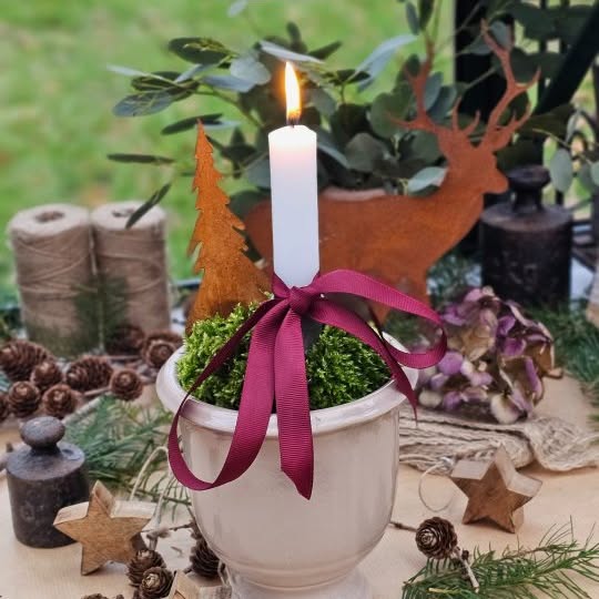 Post by tashas_garten