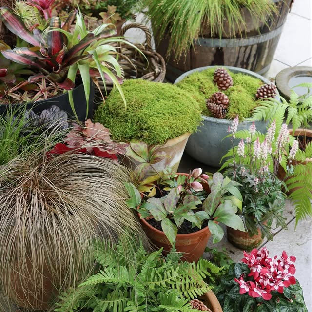 Post by katrins_garten